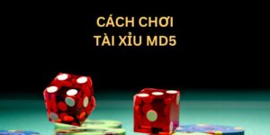 cách chơi tài xỉu MD5