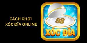 cách chơi xóc đĩa online (4)